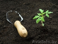 Грунт-плодородный торфяной, чернозем в мешках, доставка. - Изображение #1, Объявление #839491