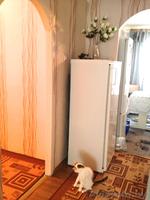 3-комн. квартира по цене 1-комнатной с отл. ремонтом - Изображение #4, Объявление #1092061