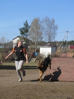 Курсы Инструкторов-кинологов собак - Изображение #2, Объявление #1094737