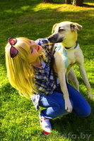 Боня-собака, которая ищет свой дом! - Изображение #1, Объявление #1095432