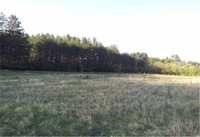 Продается Участок 15 соток около речки в д. Удранка - Изображение #2, Объявление #1090047