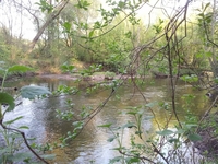 Продается Участок 15 соток около речки в д. Удранка - Изображение #4, Объявление #1090047