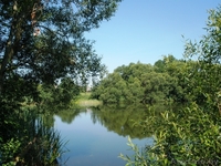 Участок в дер.Слобода.Пуховичский р-н. - Изображение #2, Объявление #1112158