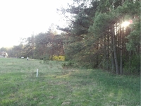 Продается участок 15 соток в 35 км от МКАД - Изображение #3, Объявление #1118027