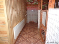 Гостиница для собак Floston-dog - Изображение #5, Объявление #1033586