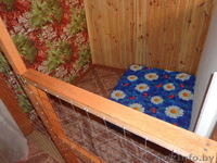 Гостиница для собак Floston-dog - Изображение #6, Объявление #1033586