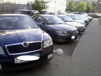 Распространим  Ваши рекламные визитки ПОД ДВОРНИКИ или резинки авто - Изображение #3, Объявление #1116024