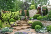 Ландшафтный дизайн, озеленение, благоустройство - Изображение #2, Объявление #1165553