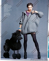 Королевский пудель украсит ваши фото - Изображение #1, Объявление #1154781