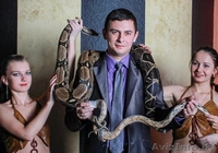 Фотоссейсии со змеями! Это прекрасный подарок для тех,кто хочет удивить гостей!! - Изображение #1, Объявление #1159307