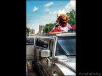 Прокат лимузина Хаммер Н2 ламбо двери - Изображение #3, Объявление #1036365