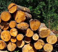 Поставки из Беларуси пиломатериалов  - Изображение #2, Объявление #1178752