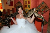 Фотоссейсии со змеями! Это прекрасный подарок для тех,кто хочет удивить гостей!! - Изображение #6, Объявление #1159307