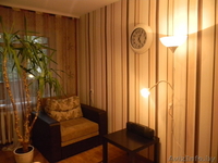 Уютная 1ком. квартира м.Пушкинская посуточно - Изображение #2, Объявление #1101876