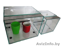 Террариумы для черепах, пауков, амфибий и других - Изображение #7, Объявление #1197521