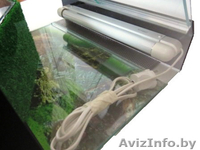 Террариумы для черепах, пауков, амфибий и других - Изображение #2, Объявление #1197521