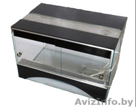 Террариумы для черепах, пауков, амфибий и других - Изображение #9, Объявление #1197521