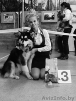 Предлагаю услуги хендлера - Изображение #5, Объявление #1202150