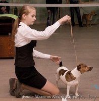 Предлагаю услуги хендлера - Изображение #7, Объявление #1202150