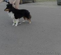 Предлагаю услуги хендлера - Изображение #3, Объявление #1202150