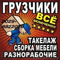 ГРУЗЧИКИ МИНСК от 8 руб./час . - Изображение #1, Объявление #1208738
