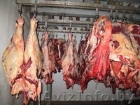 ПРОЕКТ ХОЛОДОСНАБЖЕНИЯ. Проектирование раздела «Холодоснабжение». Прое... - Изображение #2, Объявление #1213478