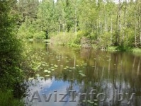 Продается дача в Раубичах (с/т "Узборье") - Изображение #3, Объявление #1220432