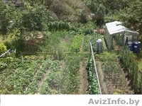 Дача Брестское напр 50 км Много фото - Изображение #3, Объявление #1237387