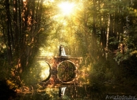 Свадебный фотограф в Минске. Фотосъемка. Фотосессия. Фото. - Изображение #5, Объявление #1232202