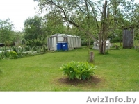 Дача Брестское напр 50 км Много фото - Изображение #4, Объявление #1237387