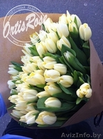 Цветы, розы, тюльпаны с доставкой по низким ценам - Изображение #1, Объявление #1229261