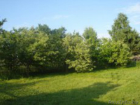 Продаём отличную   дачу, д. Лисовщина. Цена 15500  $ торг. - Изображение #5, Объявление #1253286