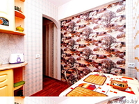 Хорошая квартира возле м.Пушкинская. - Изображение #4, Объявление #1191755