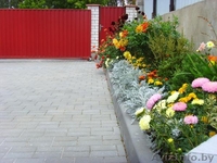 Приглашаем отдохнуть на усадьбе "Сябрына", баня, мангал, природа, 7 км. от МКАД - Изображение #2, Объявление #1260588