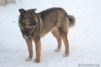 Вита.Юная охранница ищет постоянную работу. - Изображение #3, Объявление #1262692