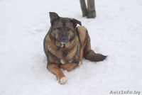 Вита.Юная охранница ищет постоянную работу. - Изображение #1, Объявление #1262692