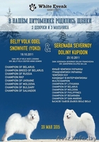 Замечательные Щенки самоеда от  красивой пары  - Изображение #1, Объявление #1273668