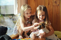 Гладкошерстные щенки Джек рассел терьера - Изображение #2, Объявление #1293054