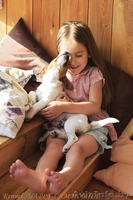 Гладкошерстные щенки Джек рассел терьера - Изображение #3, Объявление #1293054