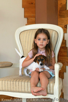 Гладкошерстные щенки Джек рассел терьера - Изображение #5, Объявление #1293054