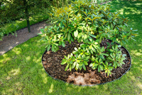 Пластиковый садовый бордюр BORDER  - Изображение #1, Объявление #1318600