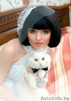 Услуги фотографа МИНСК, СВАДЕБНО-СЕМЕЙНАЯ ФОТОСЪЕМКА - Изображение #9, Объявление #1309190