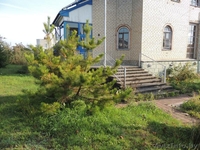 Продам коттедж в Соколе ( Минск) - Изображение #1, Объявление #1310290