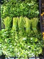 Петрушка, укроп, кориандр, мята, лук порей  из Испании - Изображение #2, Объявление #1328854