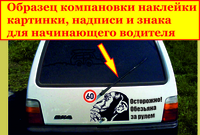 Наклейка на авто. Сувенирный номер на авто - Изображение #3, Объявление #1348434