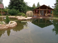 Строительство декоративных водоемов - большой выбор оборудования и материалов! - Изображение #1, Объявление #1371149