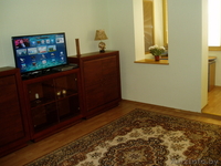 Квартира  однокомнатная в аренду по ул. Воронянского,25. - Изображение #2, Объявление #344436