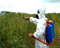 Обработка дачного участка от клещей - Изображение #4, Объявление #1387910