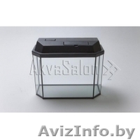 Аквариум Aqua "Панорама" 20 литров - Изображение #1, Объявление #1425292