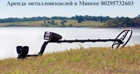 Аренда металлоискателя  - Изображение #1, Объявление #836555